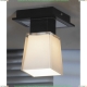 LSC-2507-01 Светильник потолочный Lente 1 плафон LSC-2507-01 Светильник потолочный Lente 1 плафон