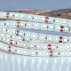 5М. Светодиодная Лента Холодного Цвета 6000К, 9,6W, 24V, Ip65 A2412008-06-6K ★ Arte lamp — купить в интернет магазине ЛЮСТРАВИК☀