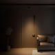 Светильник A6156PL-1BK ★ Arte lamp — купить в интернет магазине ЛЮСТРАВИК☀