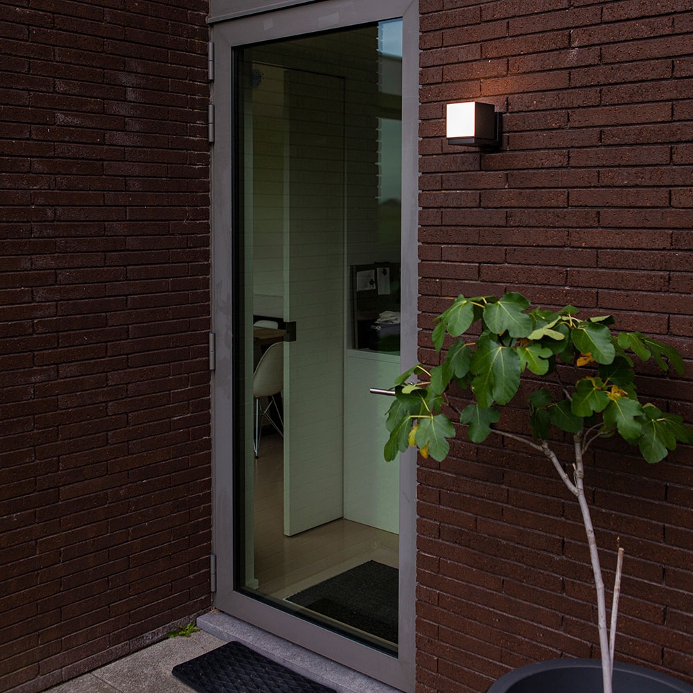 Светильник A5193AL-1BK ★ Arte lamp — купить в интернет магазине ЛЮСТРАВИК☀
