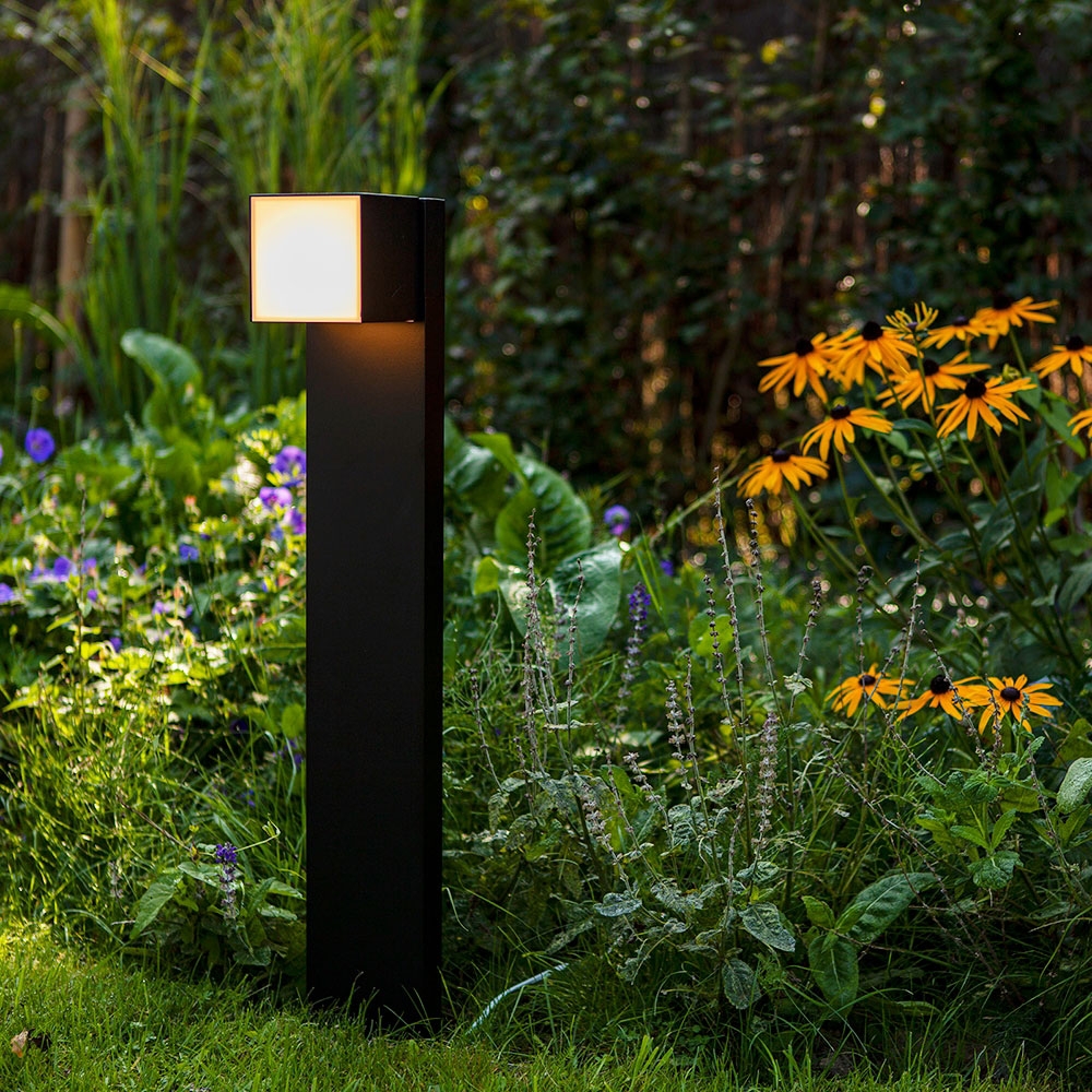 Светильник A5193PA-1BK ★ Arte lamp — купить в интернет магазине ЛЮСТРАВИК☀
