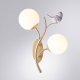 Бра A9712AP-2SG ★ Arte lamp — купить в интернет магазине ЛЮСТРАВИК☀