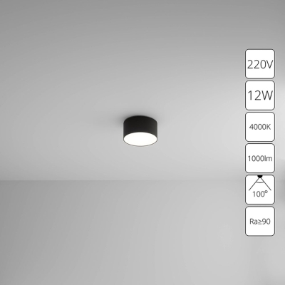 Светильник A6612PL-1BK ★ Arte lamp — купить в интернет магазине ЛЮСТРАВИК☀
