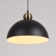 Светильник A7053SP-1BK ★ Arte lamp — купить в интернет магазине ЛЮСТРАВИК☀