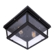 Светильник Loft3110-2C ★ LOFT IT — купить в интернет магазине ЛЮСТРАВИК☀