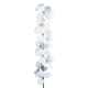 Торшер 10008F white ★ LOFT IT — купить в интернет магазине ЛЮСТРАВИК☀