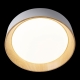Светильник 10202 White ★ LOFT IT — купить в интернет магазине ЛЮСТРАВИК☀