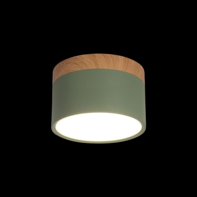 Светильник 10162 Green ★ LOFT IT — купить в интернет магазине ЛЮСТРАВИК☀