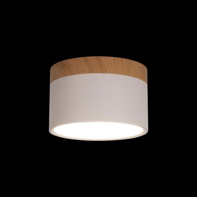 Светильник 10162 White ★ LOFT IT — купить в интернет магазине ЛЮСТРАВИК☀