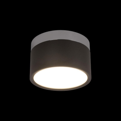 Светильник 10179/12 Black ★ LOFT IT — купить в интернет магазине ЛЮСТРАВИК☀