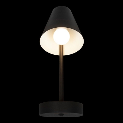 Бра 10216/1W Black ★ LOFT IT — купить в интернет магазине ЛЮСТРАВИК☀