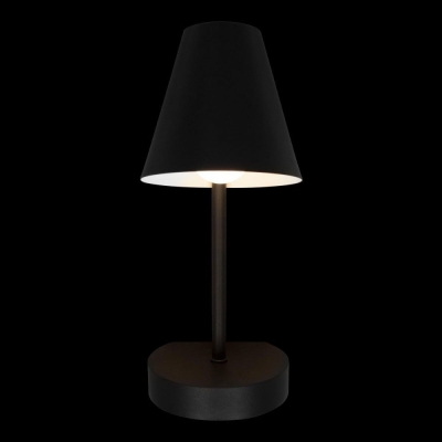 Бра 10216/1W Black ★ LOFT IT — купить в интернет магазине ЛЮСТРАВИК☀