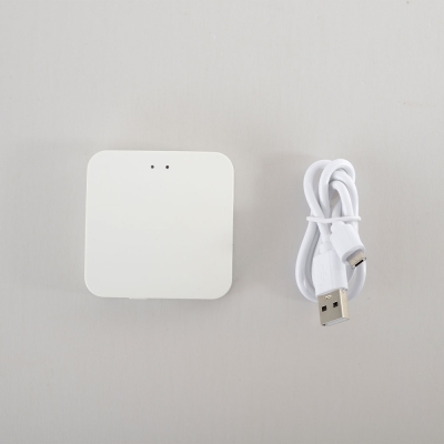 Модуль Управления Space Smart Home CLT 0.203 12 ★ Crystal Lux — купить в интернет магазине ЛЮСТРАВИК☀