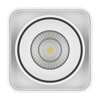 Светильник 52316 ★ Lightstar — купить в интернет магазине ЛЮСТРАВИК☀