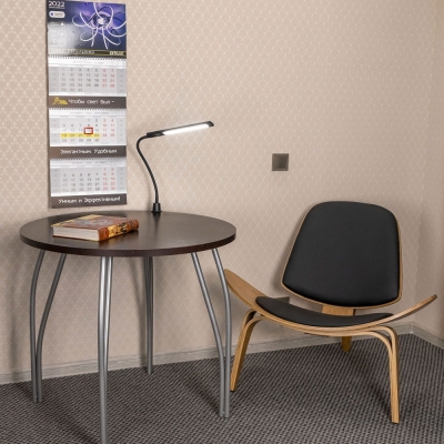 Citilux Рио CL803091N Настольная лампа гибкая на струбцине Чёрная