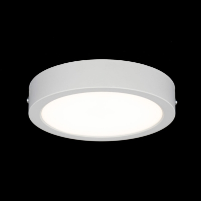 Citilux Галс CL5516N Светильник накладной светодиодный