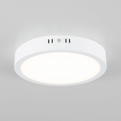 Citilux Галс CL5522N Светильник накладной светодиодный
