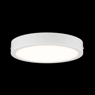 Citilux Галс CL5522N Светильник накладной светодиодный