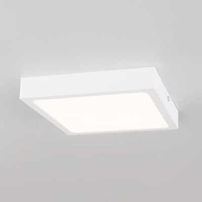 Citilux Галс CL55K22N Светильник накладной светодиодный