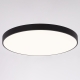 Citilux Купер CL724155G1 LED RGB Светильник с пультом Чёрный