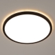 Citilux Basic Line CL738321EL RGB Светильник с пультом Чёрный