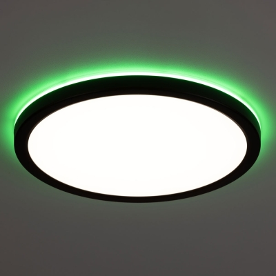 Citilux Basic Line CL738241EL RGB Светильник с пультом Чёрный