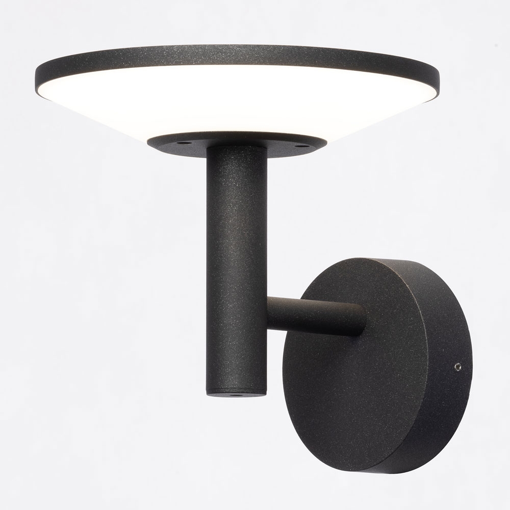 Citilux Dorn CLU05W LED Уличный настенный светильник Графит