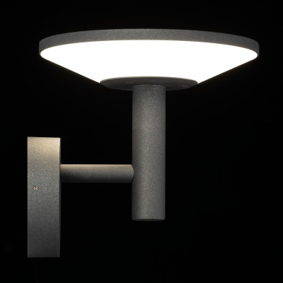 Citilux Dorn CLU05W LED Уличный настенный светильник Графит