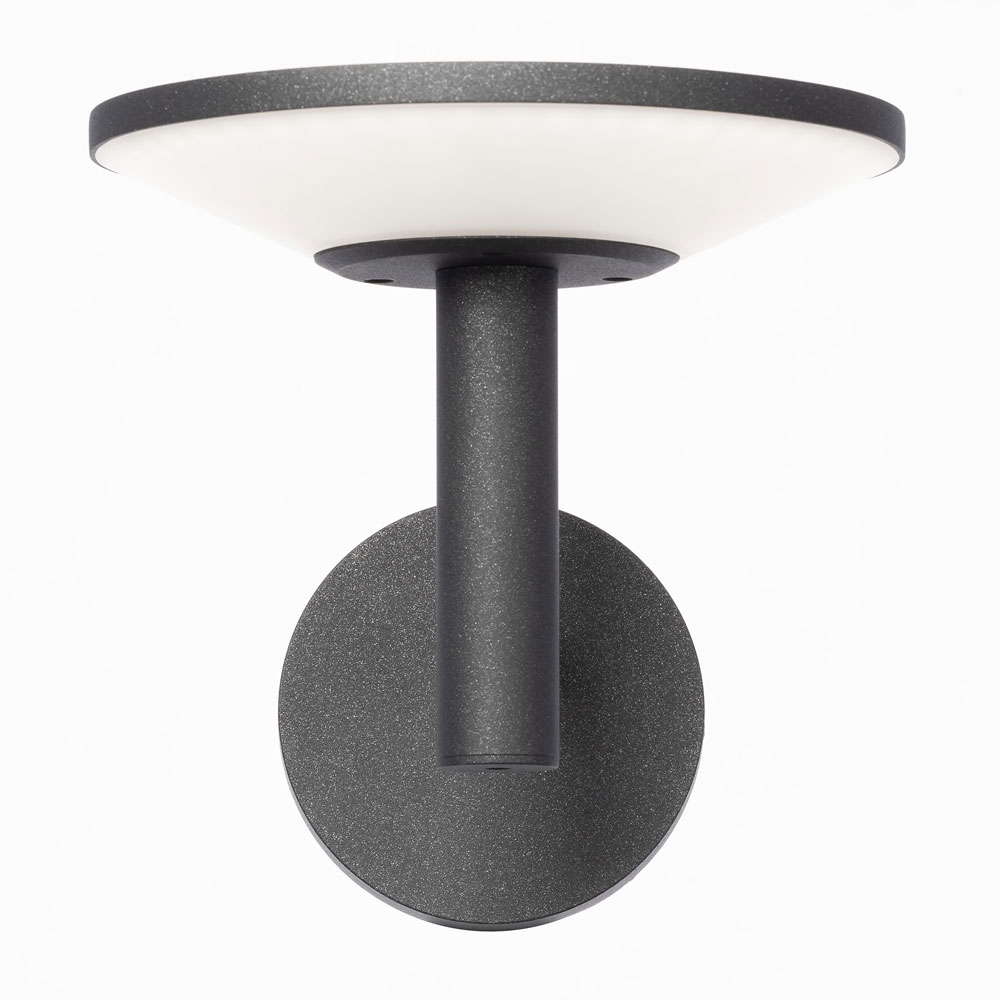 Citilux Dorn CLU05W LED Уличный настенный светильник Графит