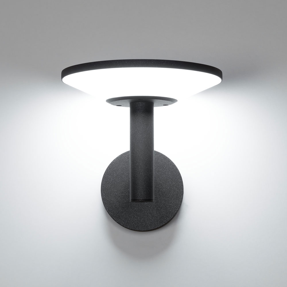Citilux Dorn CLU05W LED Уличный настенный светильник Графит