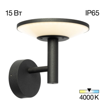 Citilux Dorn CLU05W LED Уличный настенный светильник Графит