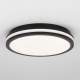 Citilux LUNS CL711021V LED Светильник влагозащищённый Чёрный