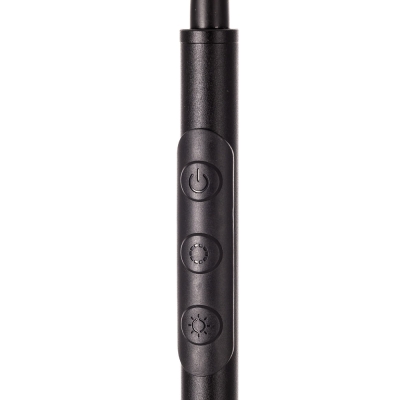Citilux Alex CL804051 Торшер с пультом Чёрный