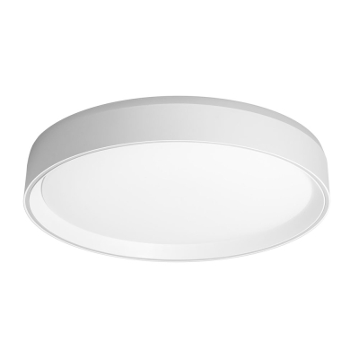 Citilux BOSS CL751350G LED RGB Светильник с пультом Белый
