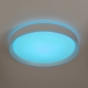 Citilux BOSS CL751350G LED RGB Светильник с пультом Белый