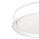 Citilux BOSS CL751350G LED RGB Светильник с пультом Белый