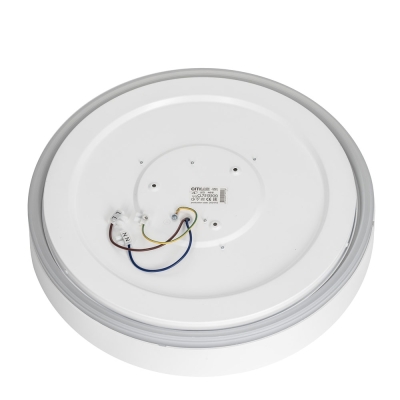 Citilux BOSS CL751350G LED RGB Светильник с пультом Белый