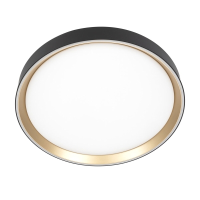 Citilux BOSS CL751351G LED RGB Светильник с пультом Чёрный с Золотом