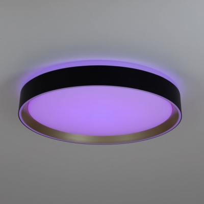 Citilux BOSS CL751351G LED RGB Светильник с пультом Чёрный с Золотом