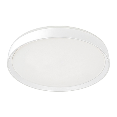 Citilux BOSS CL751450G LED RGB Светильник с пультом Белый