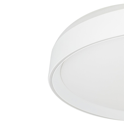 Citilux BOSS CL751450G LED RGB Светильник с пультом Белый