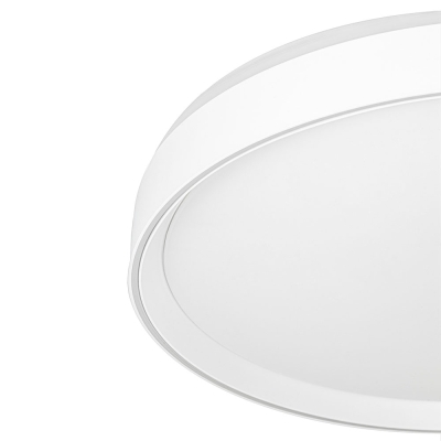 Citilux BOSS CL751450G LED RGB Светильник с пультом Белый