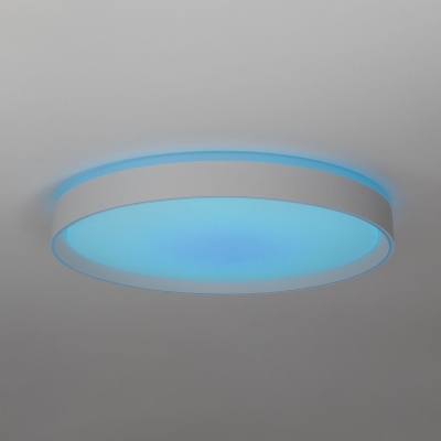 Citilux BOSS CL751450G LED RGB Светильник с пультом Белый