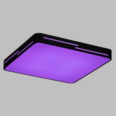Citilux Купер Лайн CL724K95GL1 LED RGB Светильник с пультом Чёрный