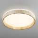 Citilux ENZO CL753352G LED RGB Светильник с пультом Клён
