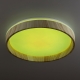 Citilux ENZO CL753352G LED RGB Светильник с пультом Клён