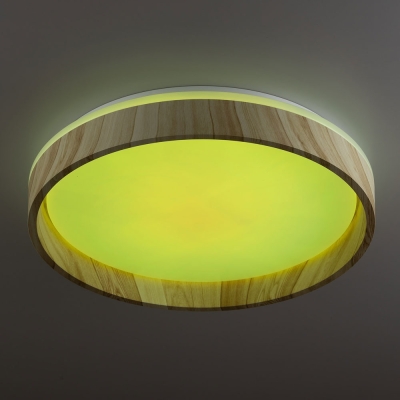 Citilux ENZO CL753352G LED RGB Светильник с пультом Клён