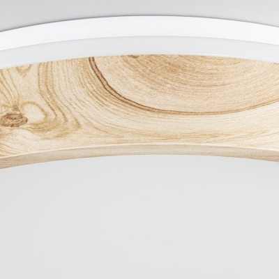 Citilux ENZO CL753352G LED RGB Светильник с пультом Клён