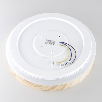 Citilux ENZO CL753352G LED RGB Светильник с пультом Клён