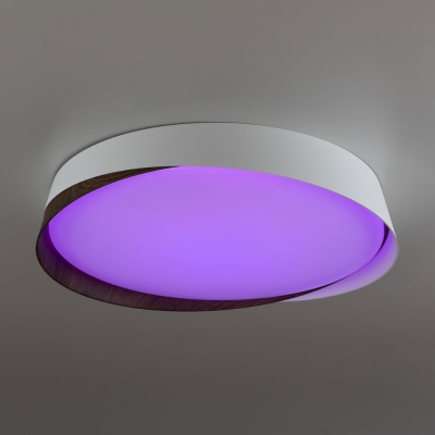 Citilux BONNY CL754350G LED RGB Светильник с пультом Белый+Венге